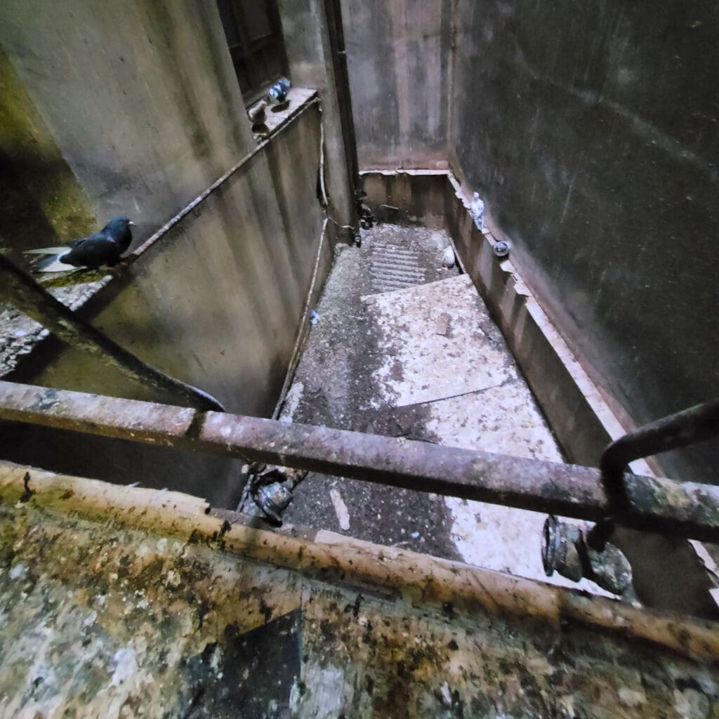 Patio de luces en mal estado, con suciedad acumulada, escombros en el suelo y paredes manchadas de humedad. Se observan palomas posadas en las barandillas oxidadas. La imagen destaca la necesidad urgente de limpieza y rehabilitación para mejorar la salubridad y apariencia del espacio.